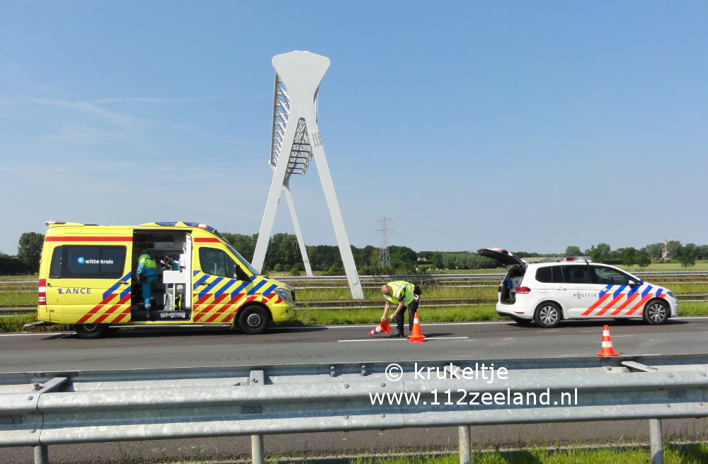 A58 sheearendskerke 220620196.jpg